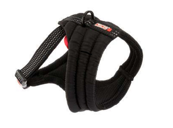 Arnés Comfort Kong