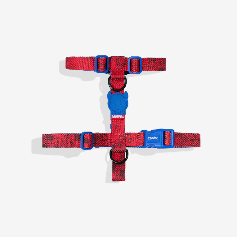 Spiderman Arnés H