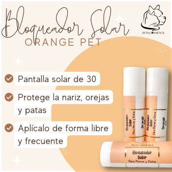 Protector solar en barra