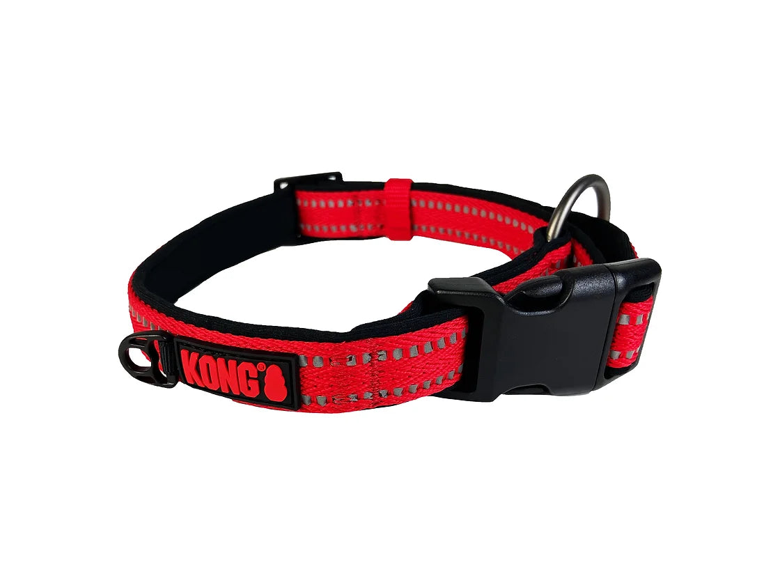 Collar Kong perros