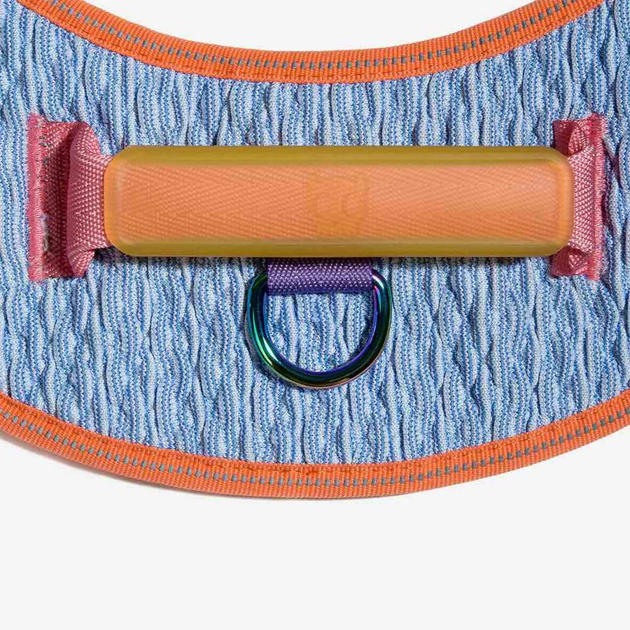 Fly Harness Galaxy