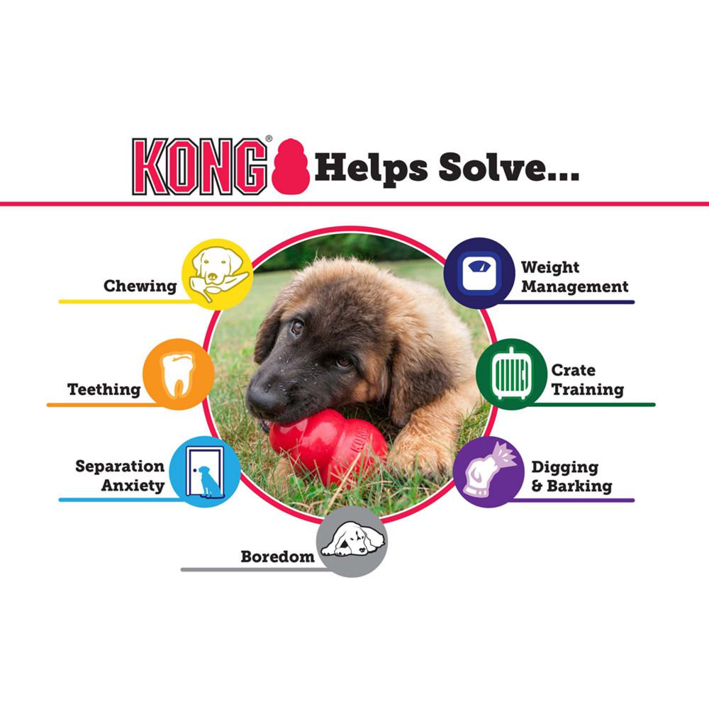 Kong Classic Snack Toy