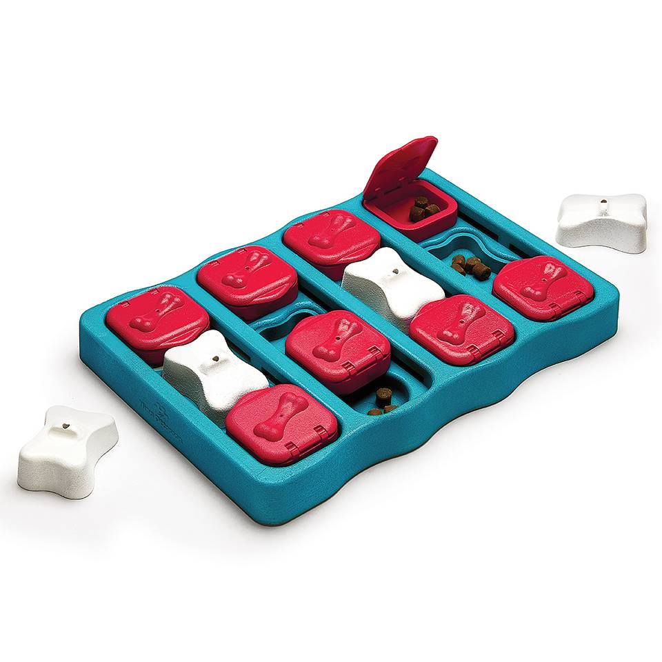 Juguete mental Dog Brick