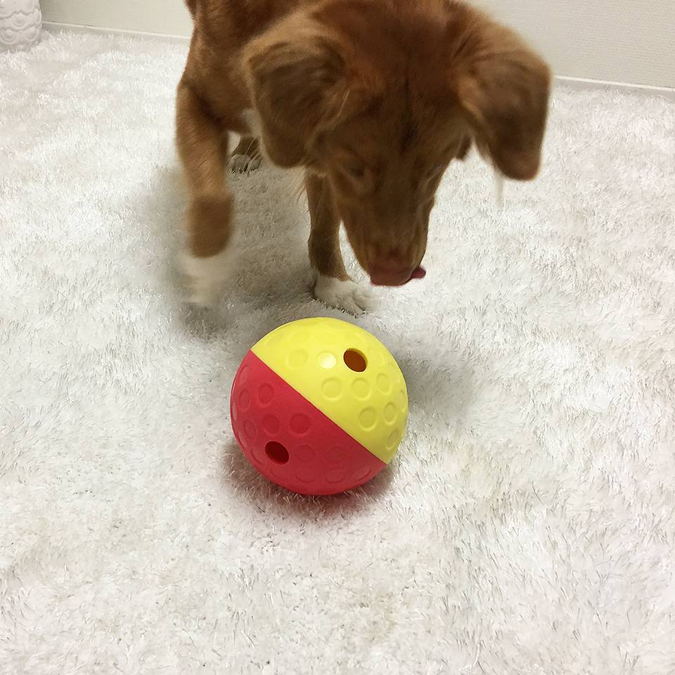 Juguete mental Treat Tumble
