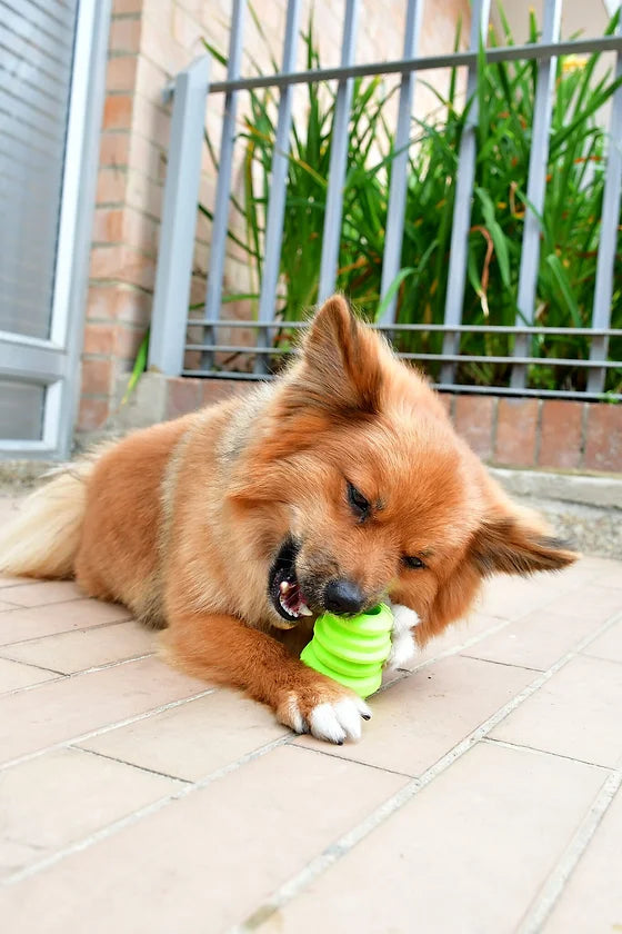 Beehieve Carrot