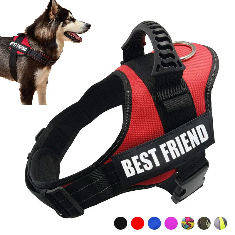 Pechera Police K9