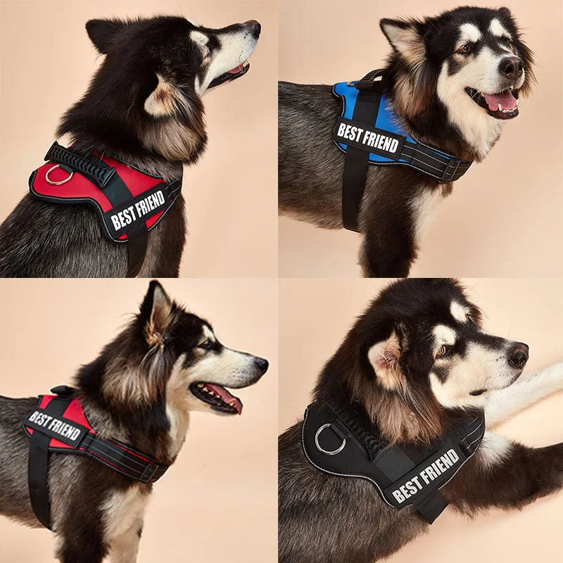 Pechera Police K9