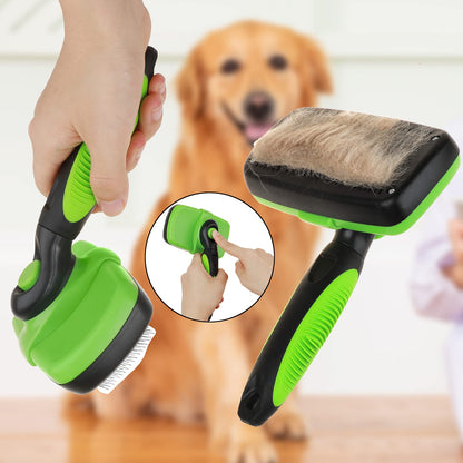 Cepillo Self Cleaning