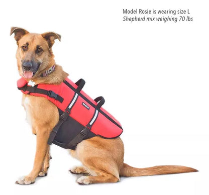Chaleco salvavidas perros