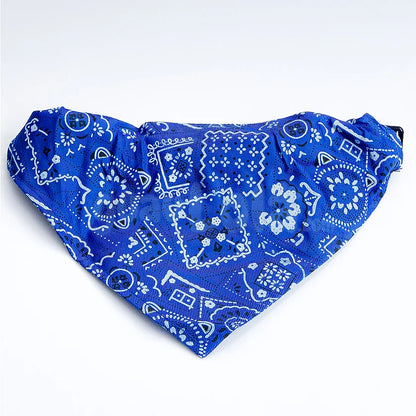 Collar con pañoleta