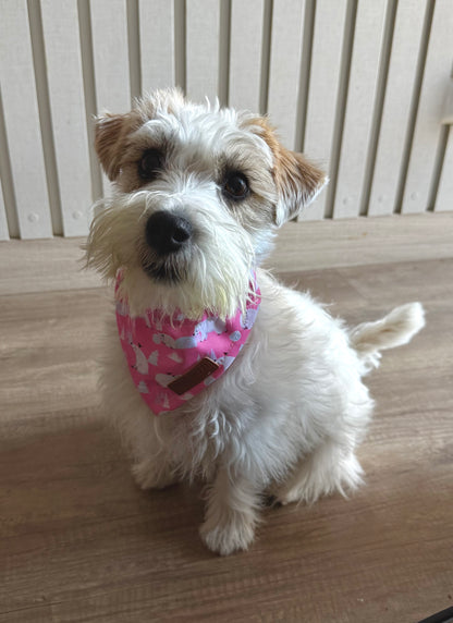 Pañoleta con collar