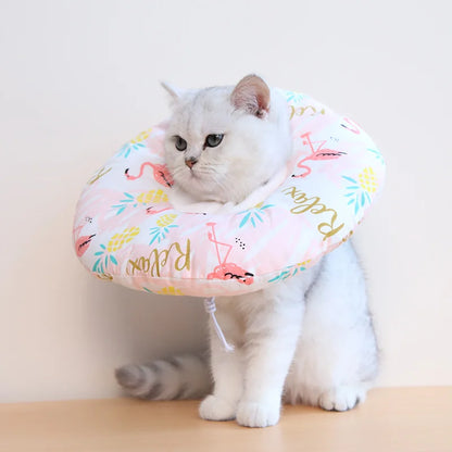 Collar Isabelino Dona
