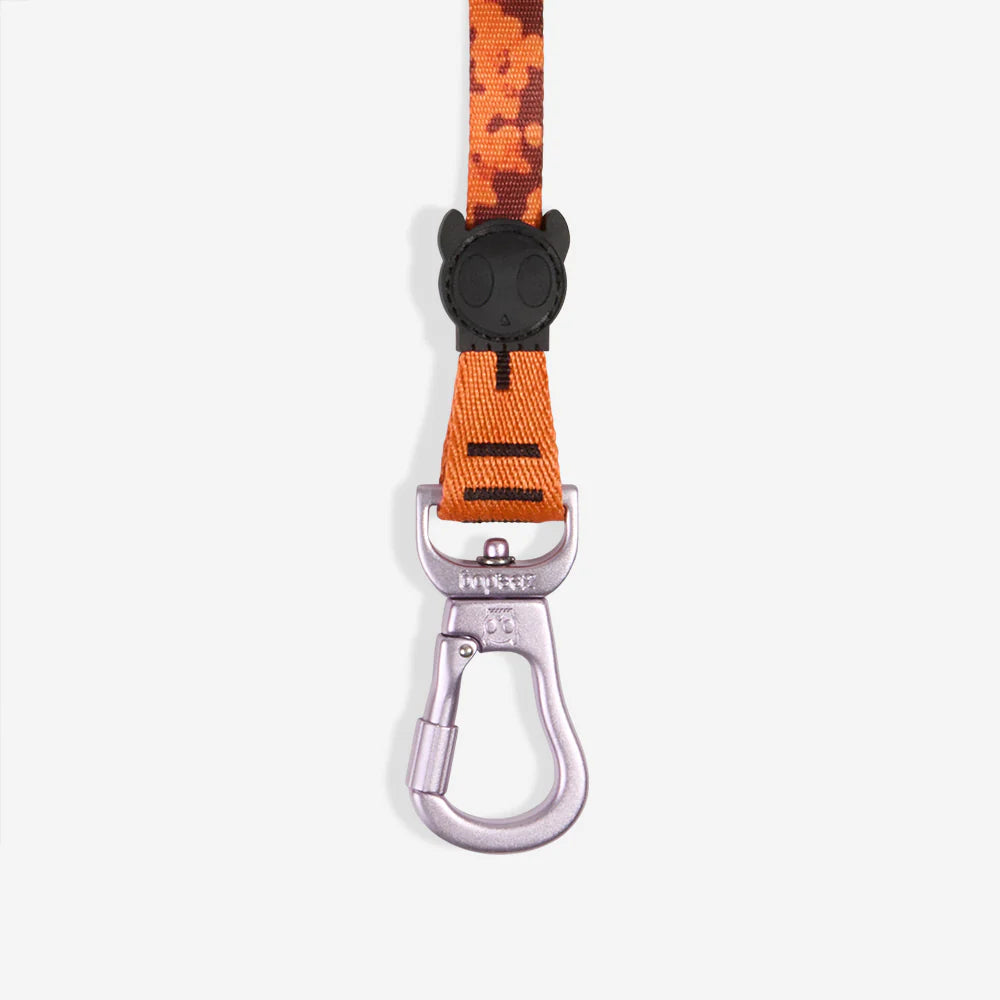 Long Leash Leopard