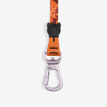 Long Leash Leopard