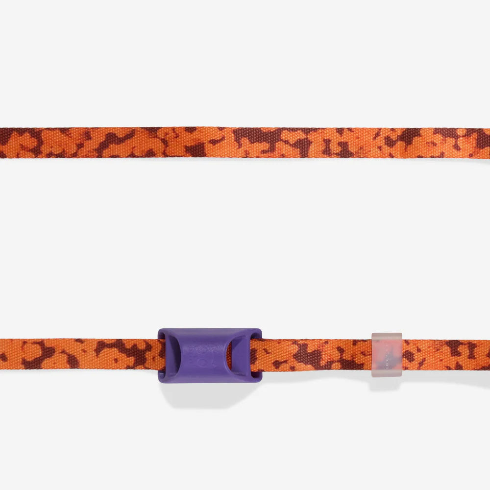 Long Leash Leopard