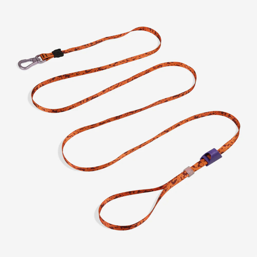 Long Leash Leopard