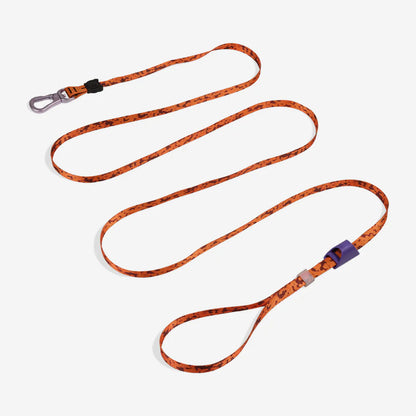 Long Leash Leopard