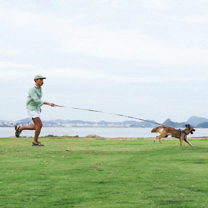 Long Leash Leopard