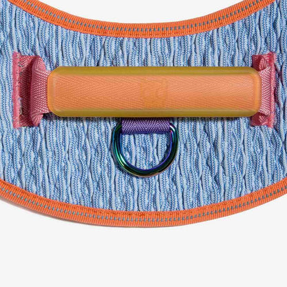 Fly Harness Galaxy