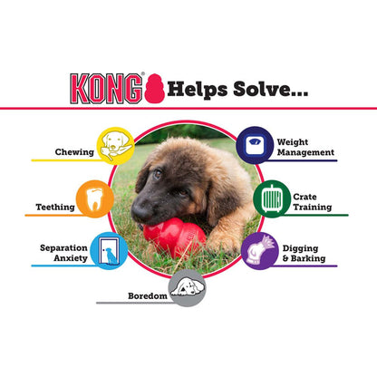 Kong Classic Snack Toy