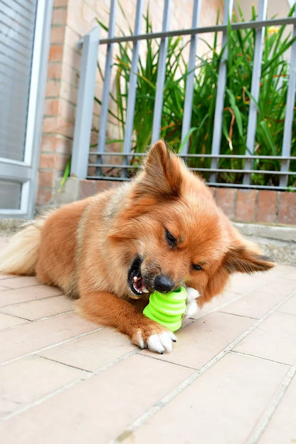 Beehieve Carrot