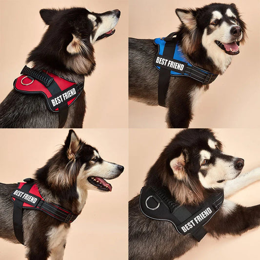 Pechera Police K9